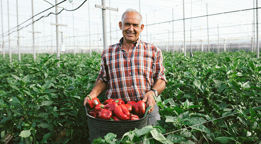 respeto-agricultores-alvalle