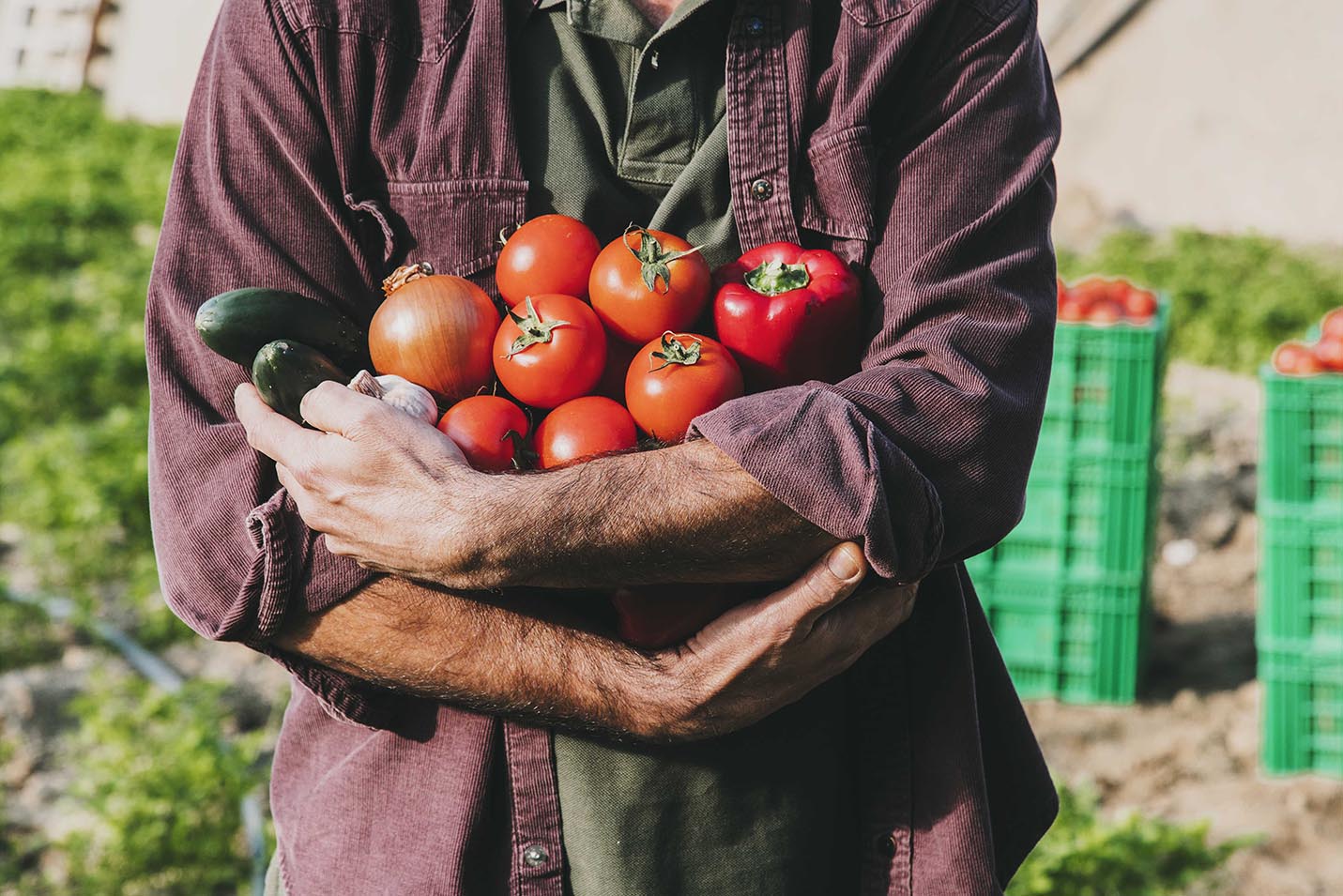 Descubre como elaboramos el sabor de siempre