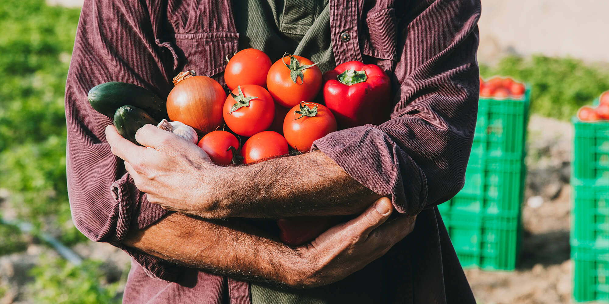 What you see is what you get: authentieke gazpacho