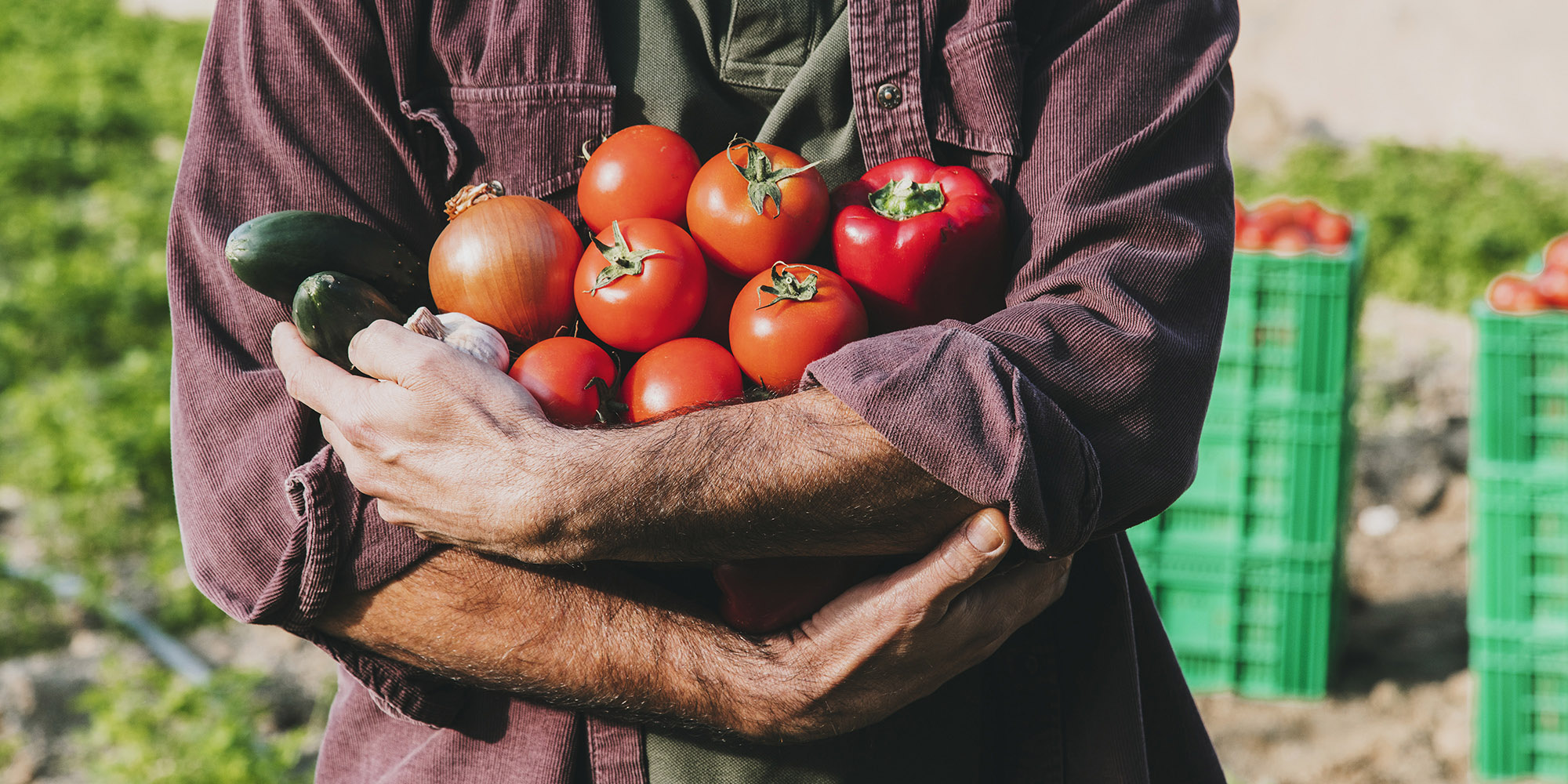 Un emballage transparent, à l’image du produit: du Gazpacho authentique